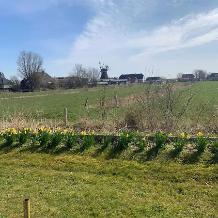Moehlkiek